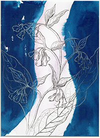 sample
